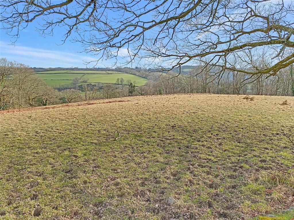 View Of Top Paddock