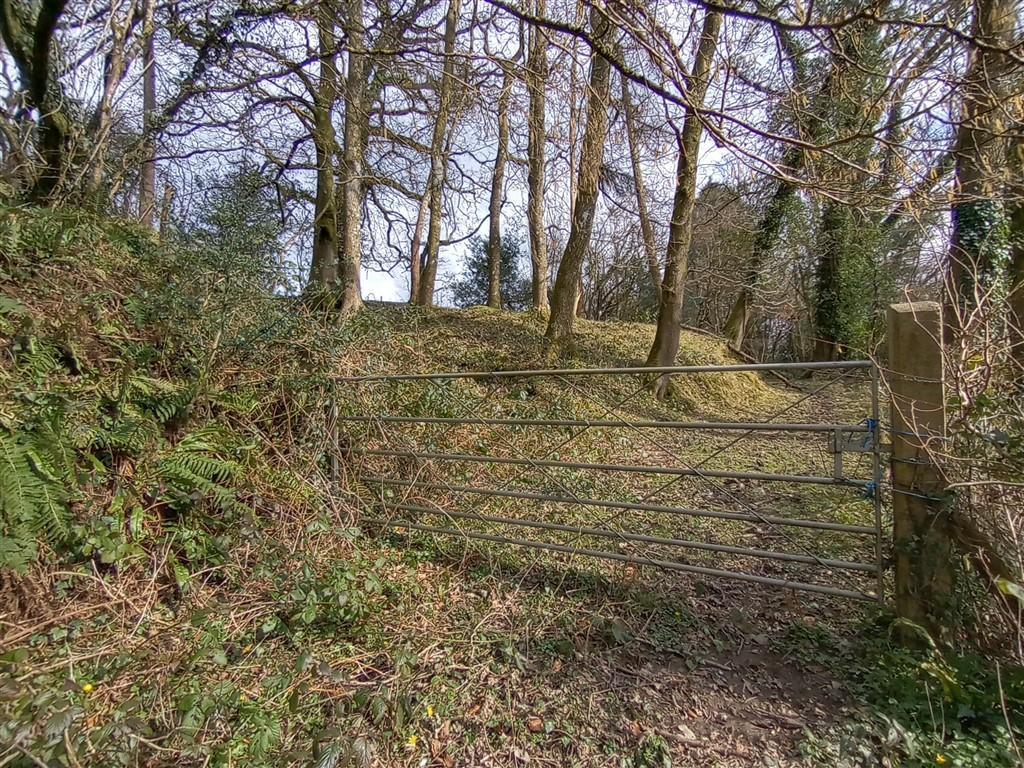 Access Gate To Woodland