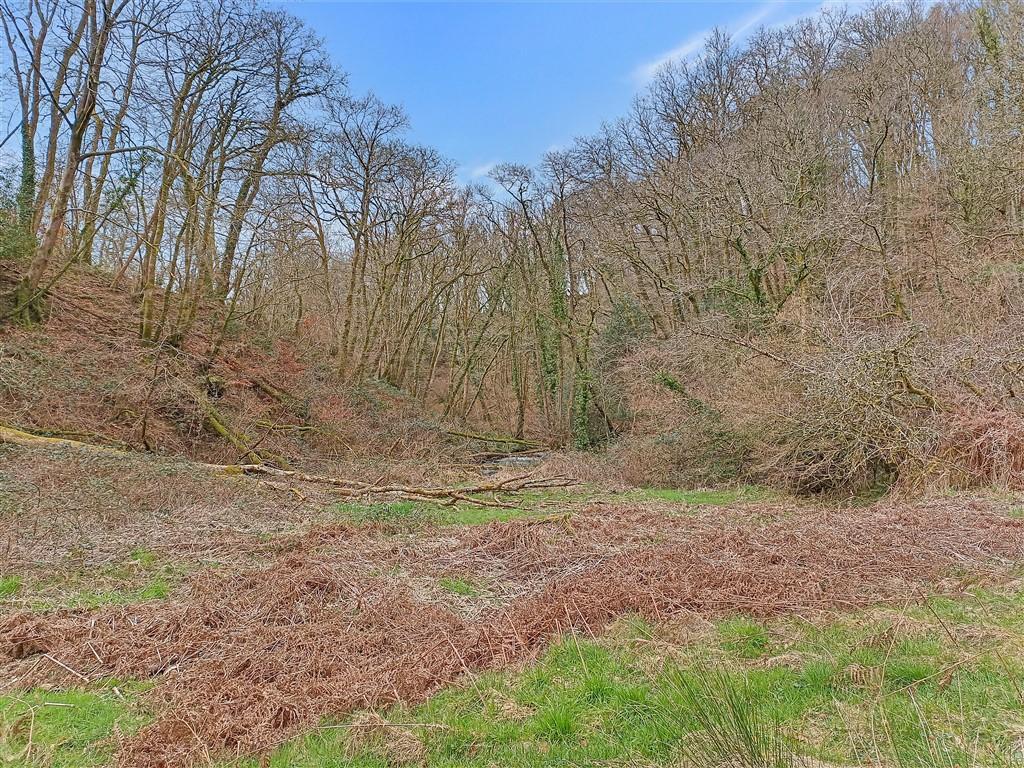 Paddock Next To River
