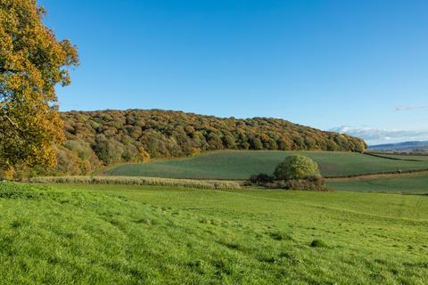 Land for sale, Brinsop, Hereford, Herefordshire