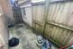 Img 3788.jpeg