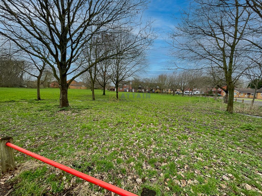 Park.jpg