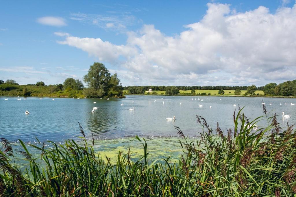 Willen Lake