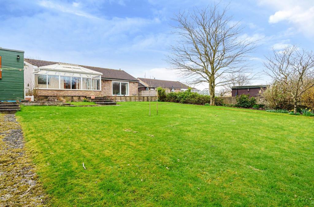 1095867 (9).jpg