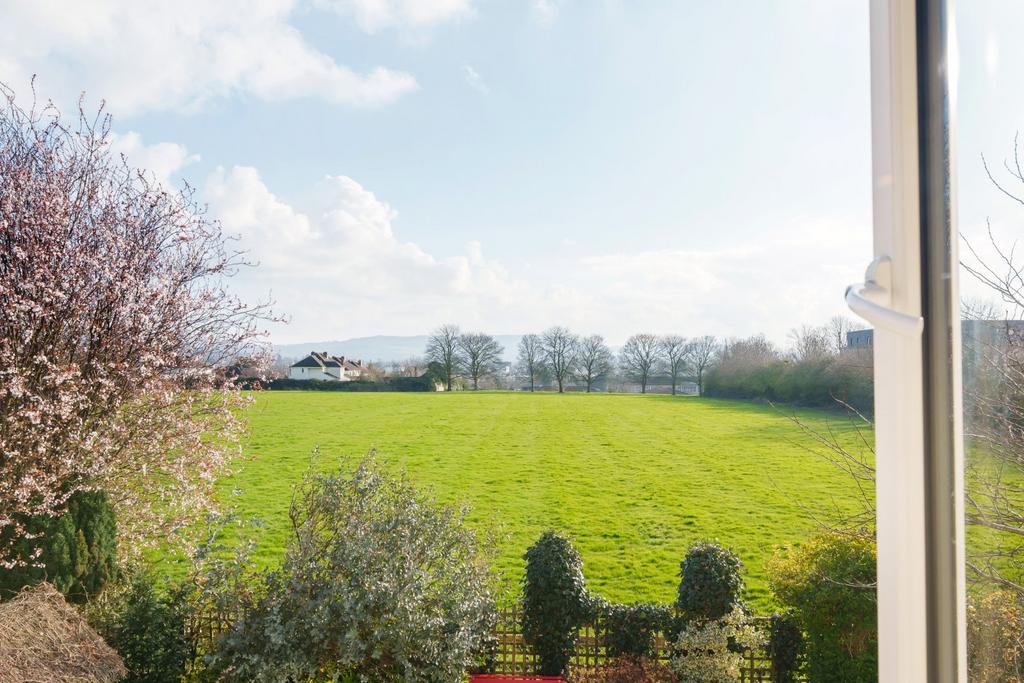 Field View