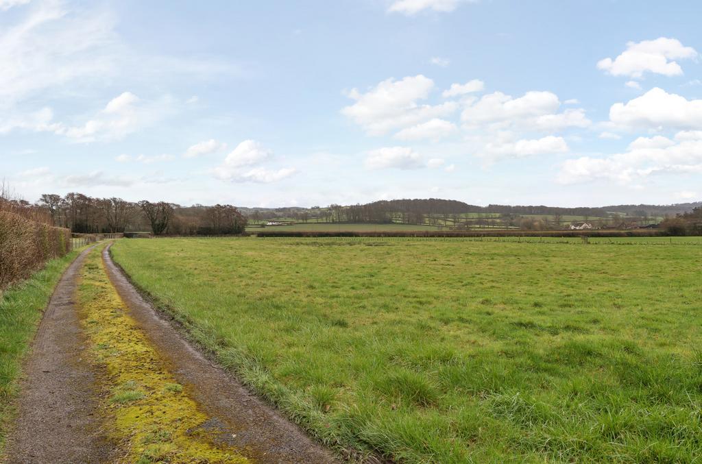 Track
