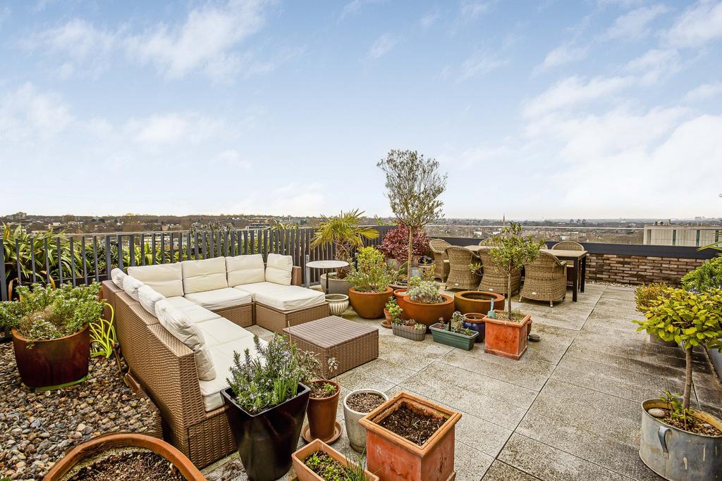 Roof Terrace