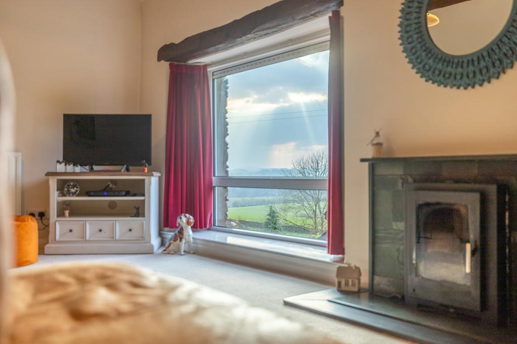 Living Room with a View