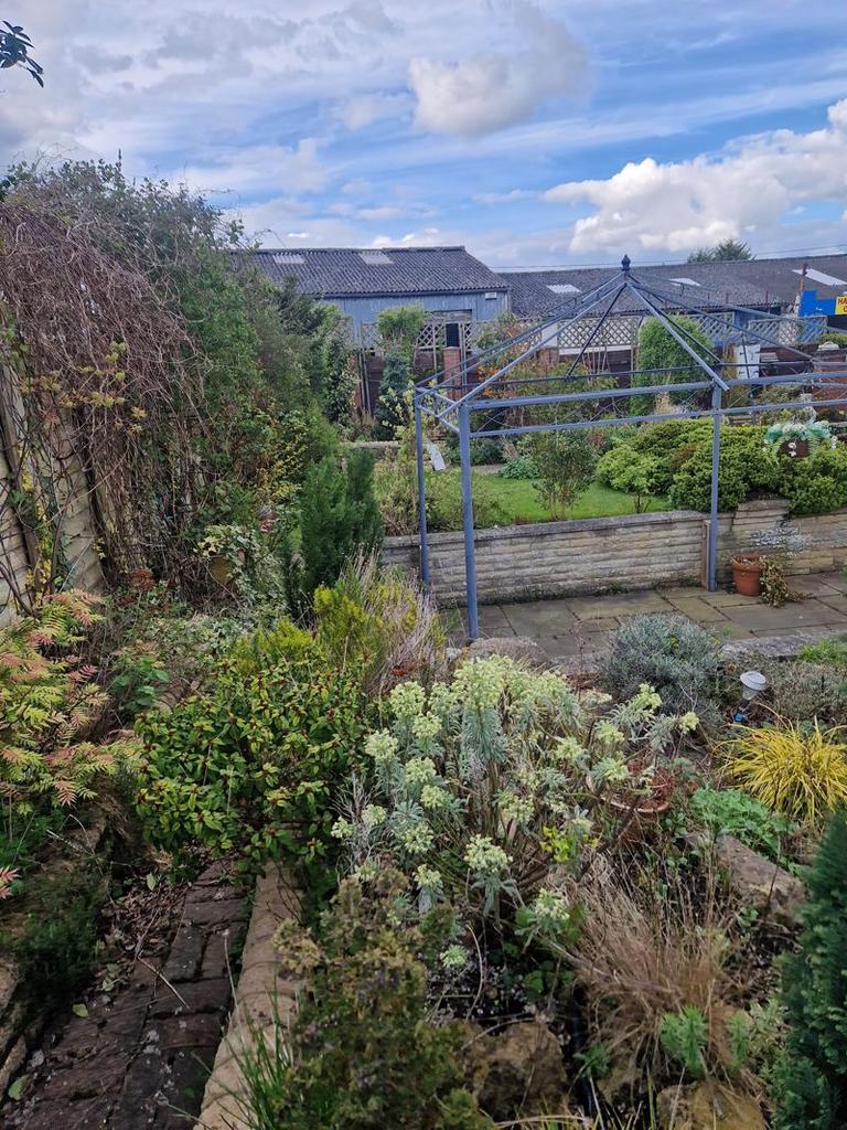 Rear Patio area