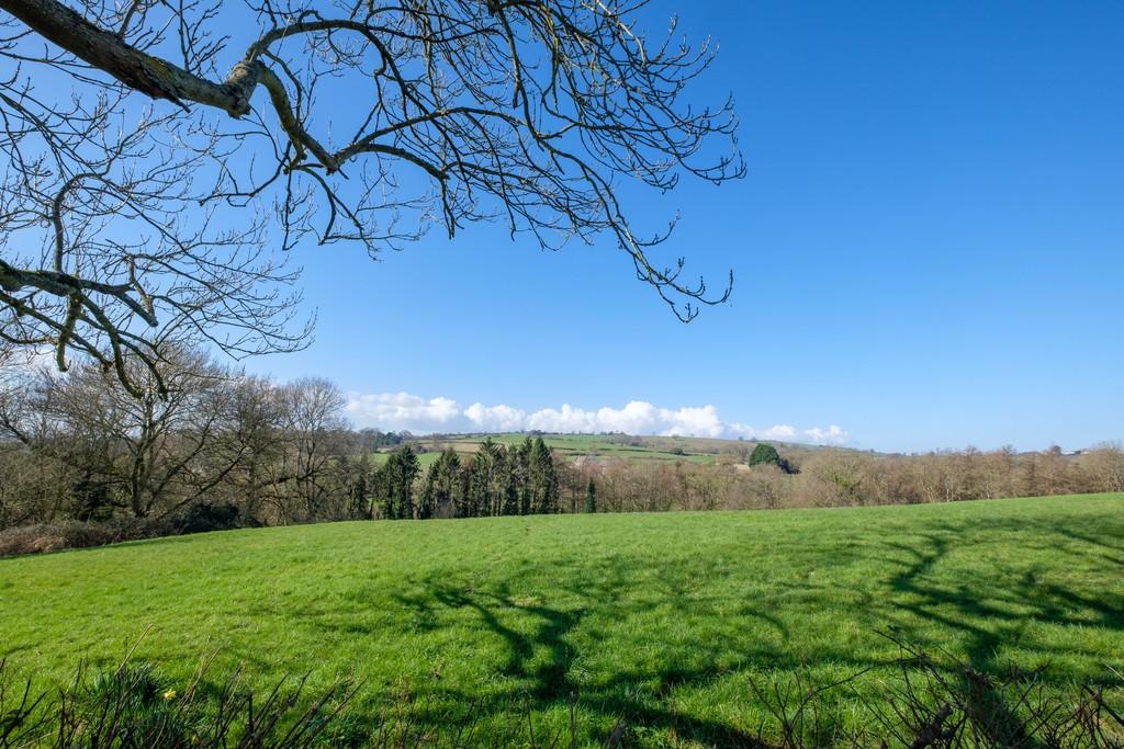 Image30