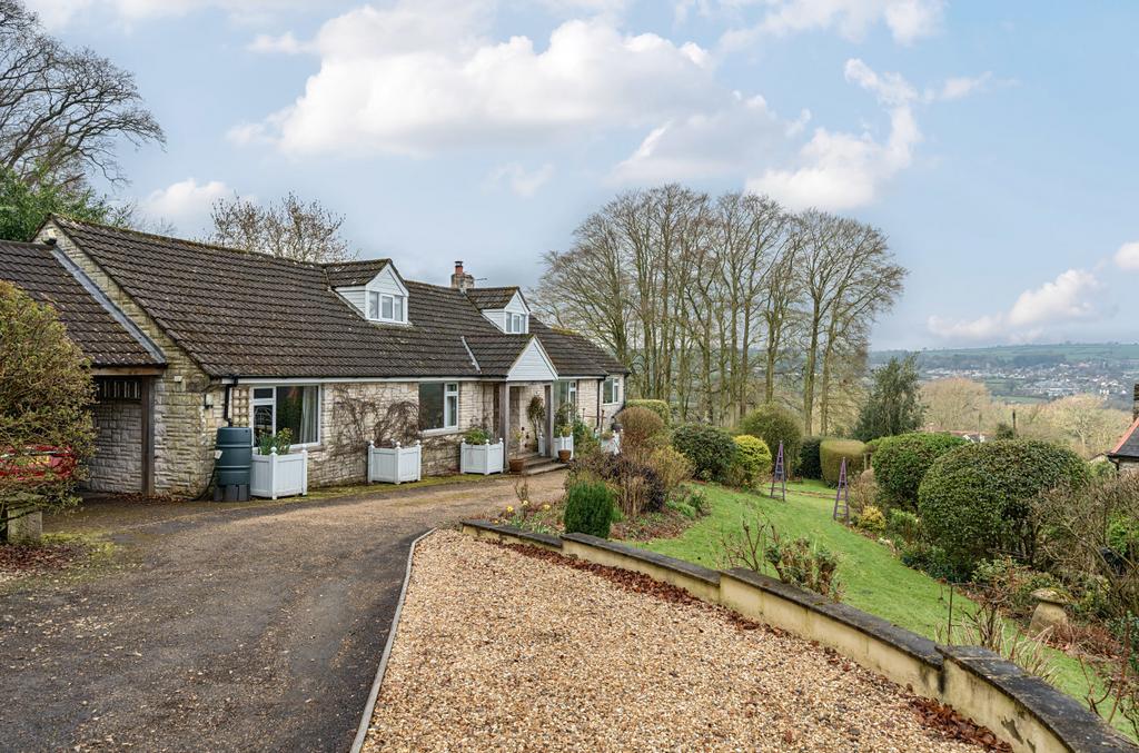 1094626 (1).jpg
