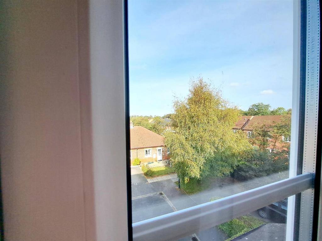 20231018 120607.jpg