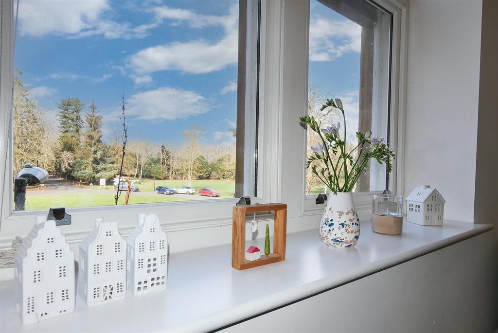 Window view