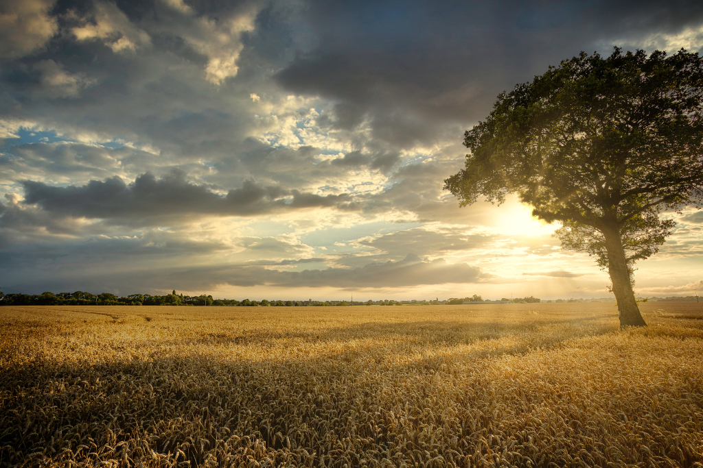 Local countryside