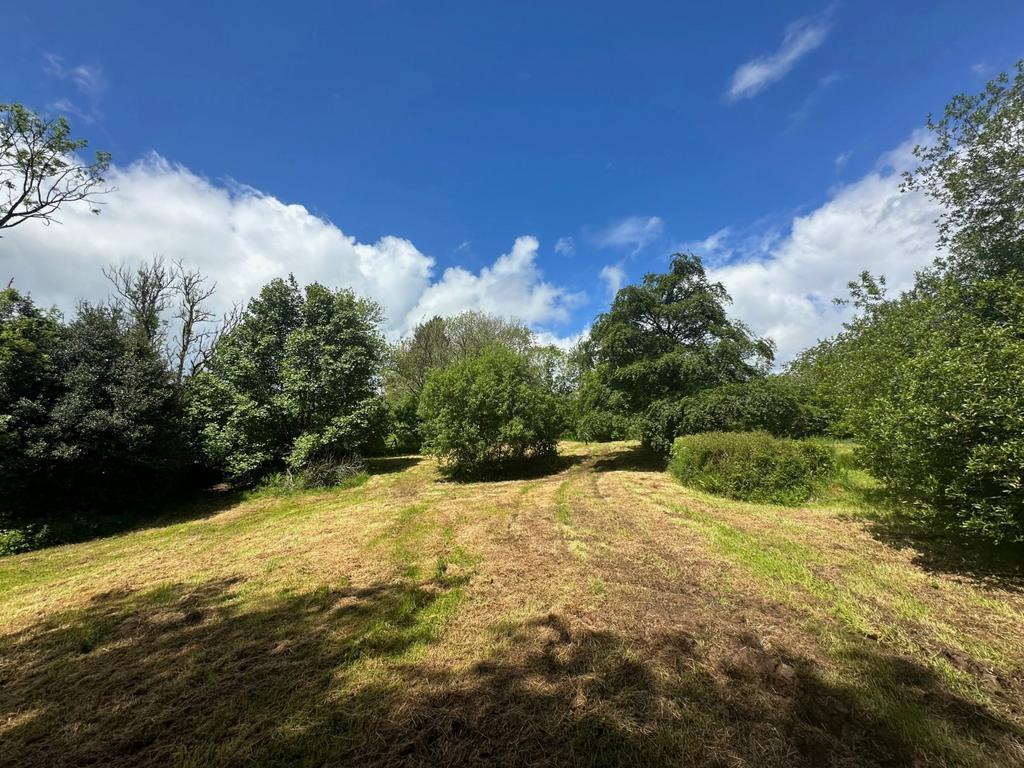 Picnic Meadow