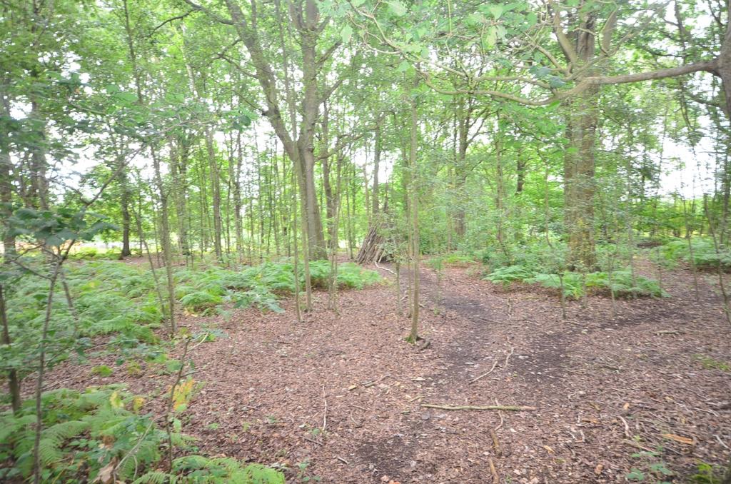 Woolpack Woods