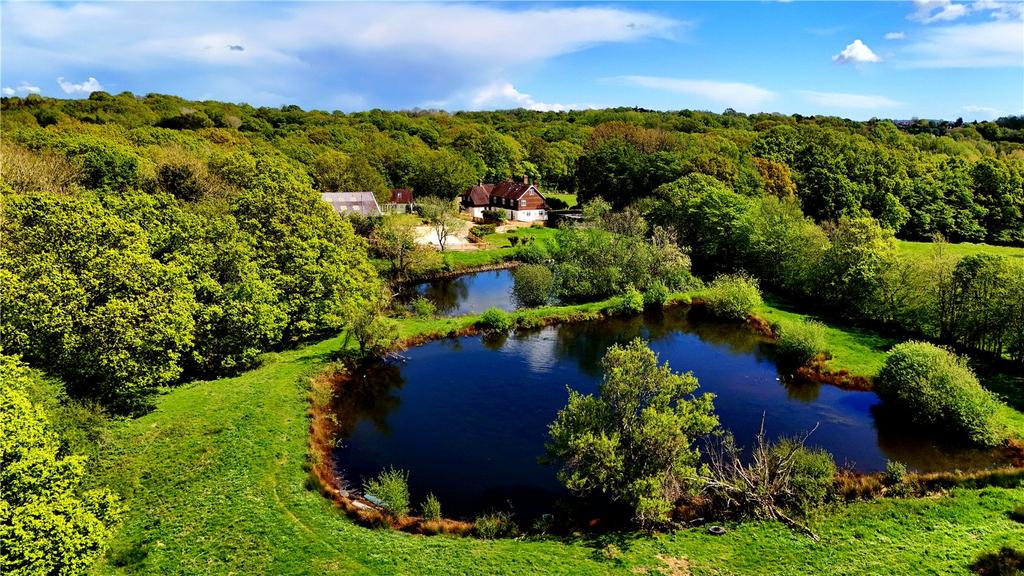 Field and Pond