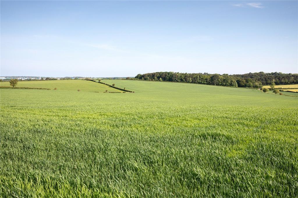 Land
