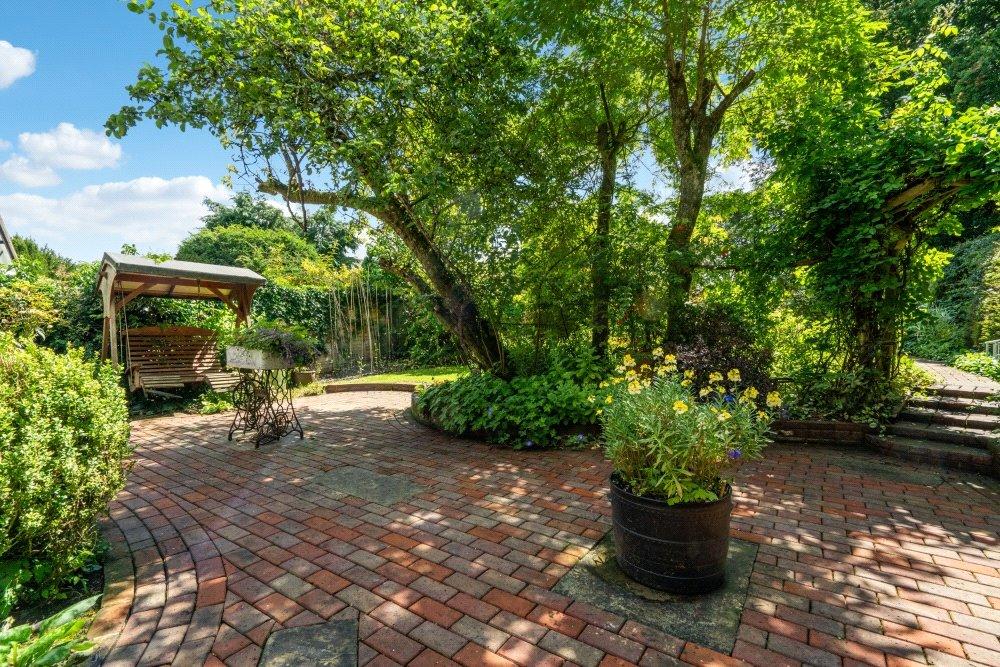 Rear Patio