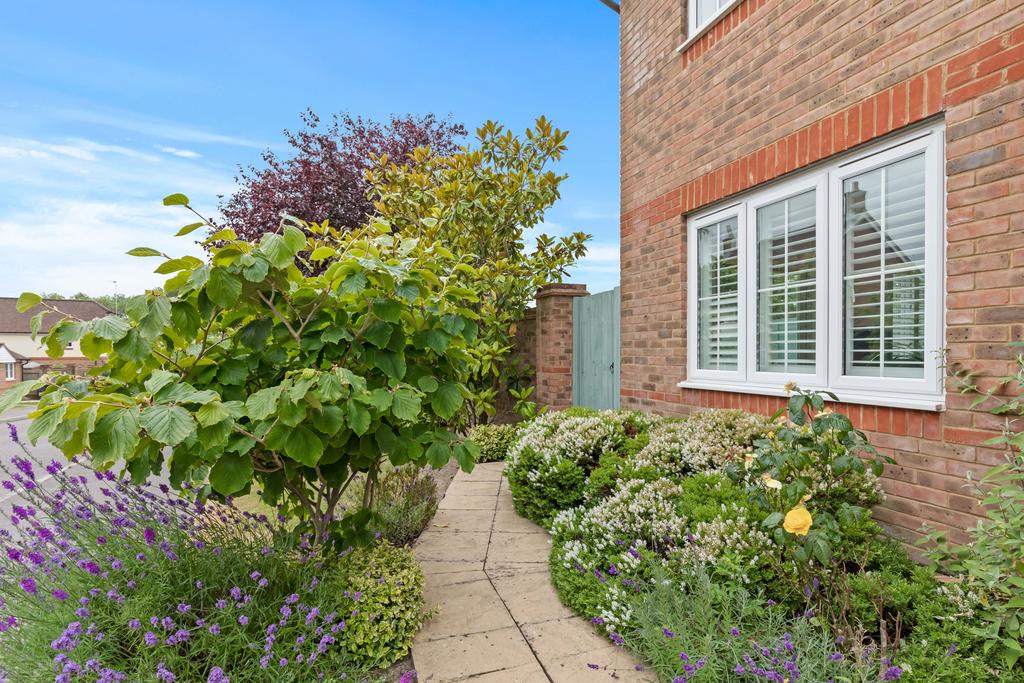 Front Garden
