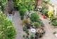 V. garden pic.jpg