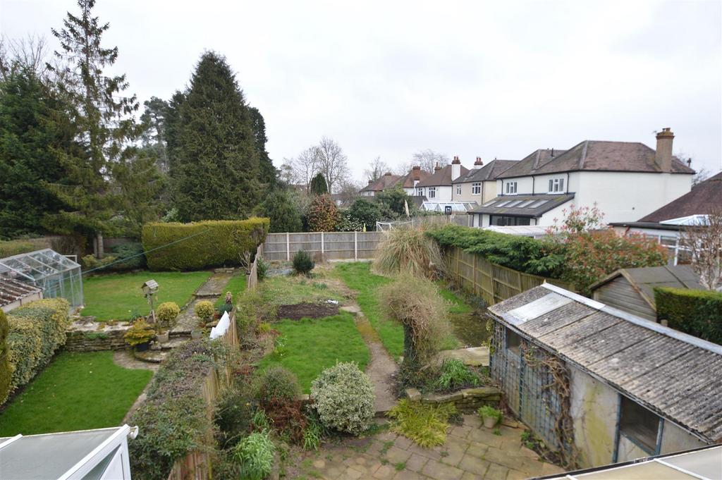 Back garden.JPG