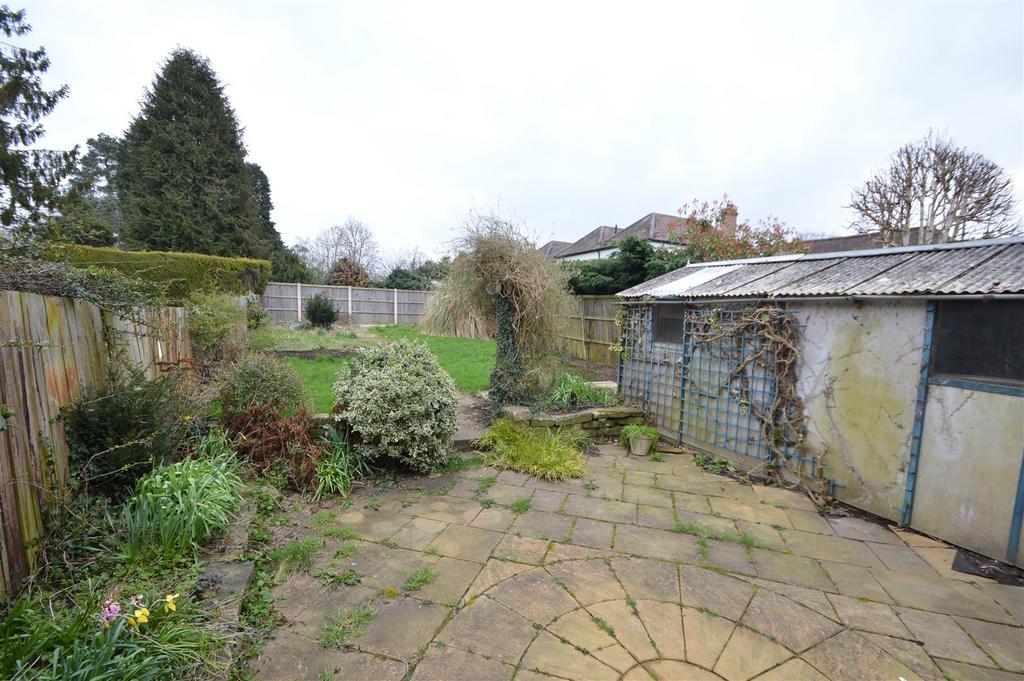 Garden 2.JPG