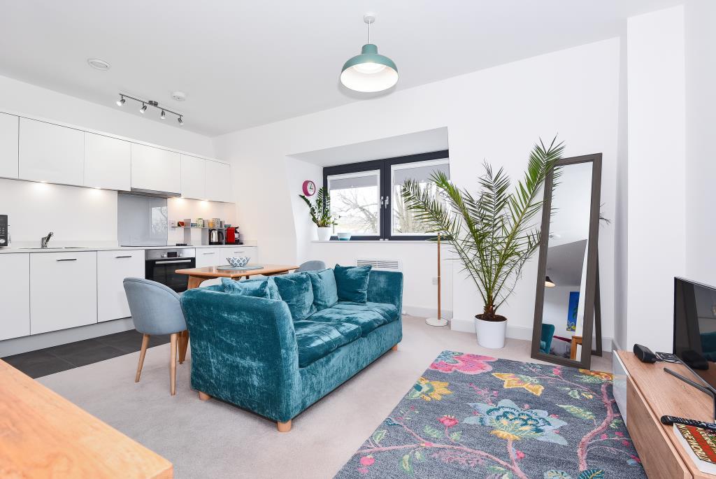 Living Room/Open Plan Kitchen