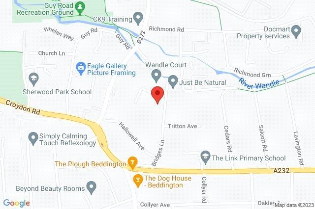 Google Maps Image