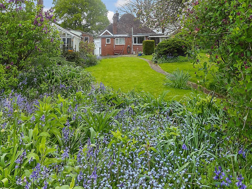 Rear View With Bluebells