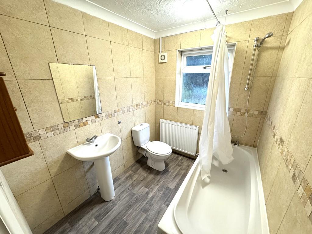 Img 0386