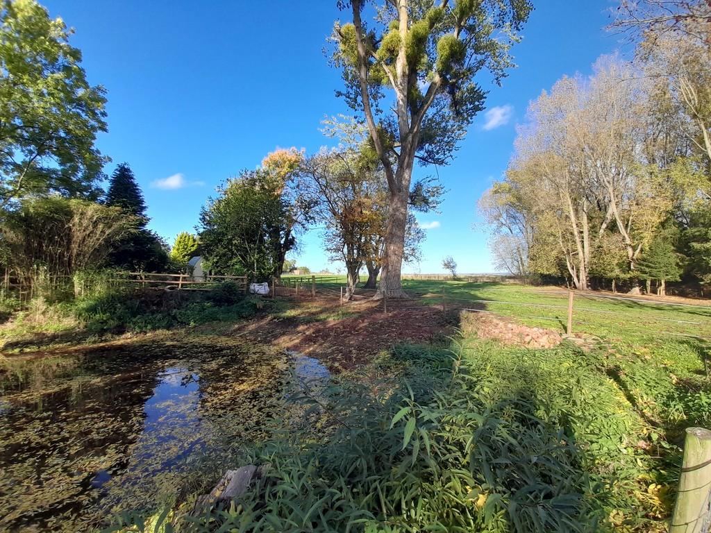 Wildlife pond