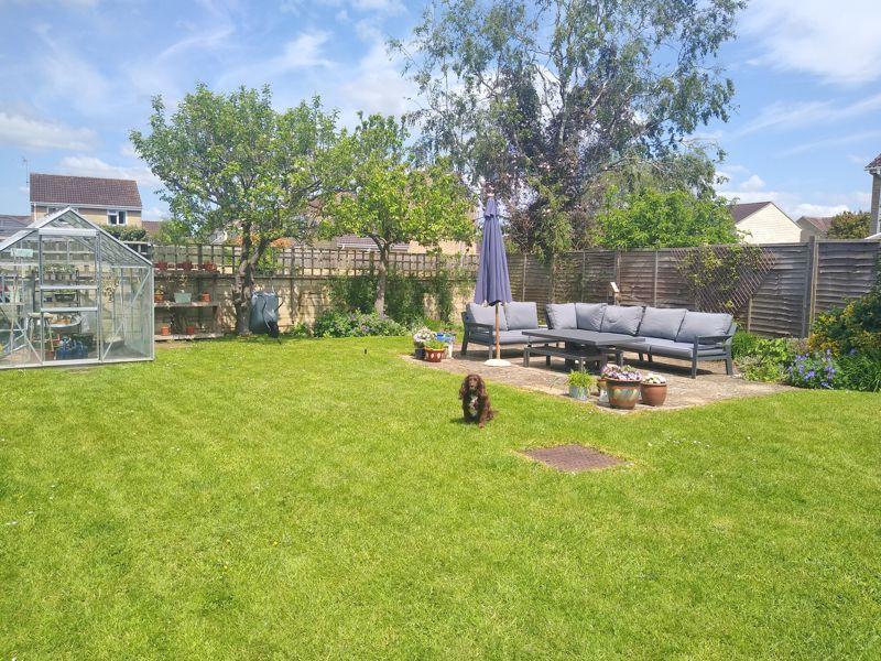 Garden (Summer 2023)