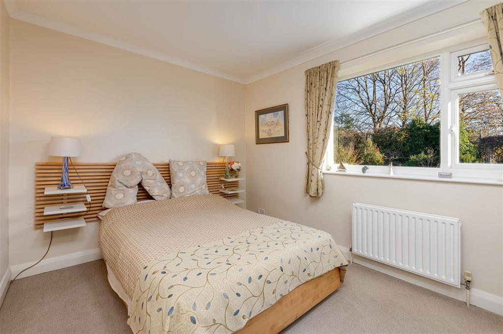 IMG 8851-Edit-Edit.jpg