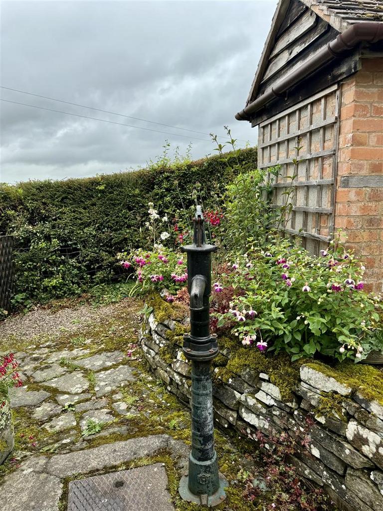 BAC8 C581-2 D9 A-45 A1-946 C-FB2 BD5 FF8856.jpeg