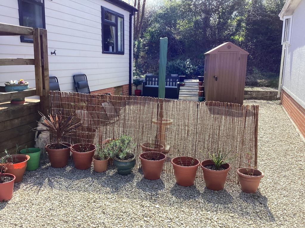 Side Garden
