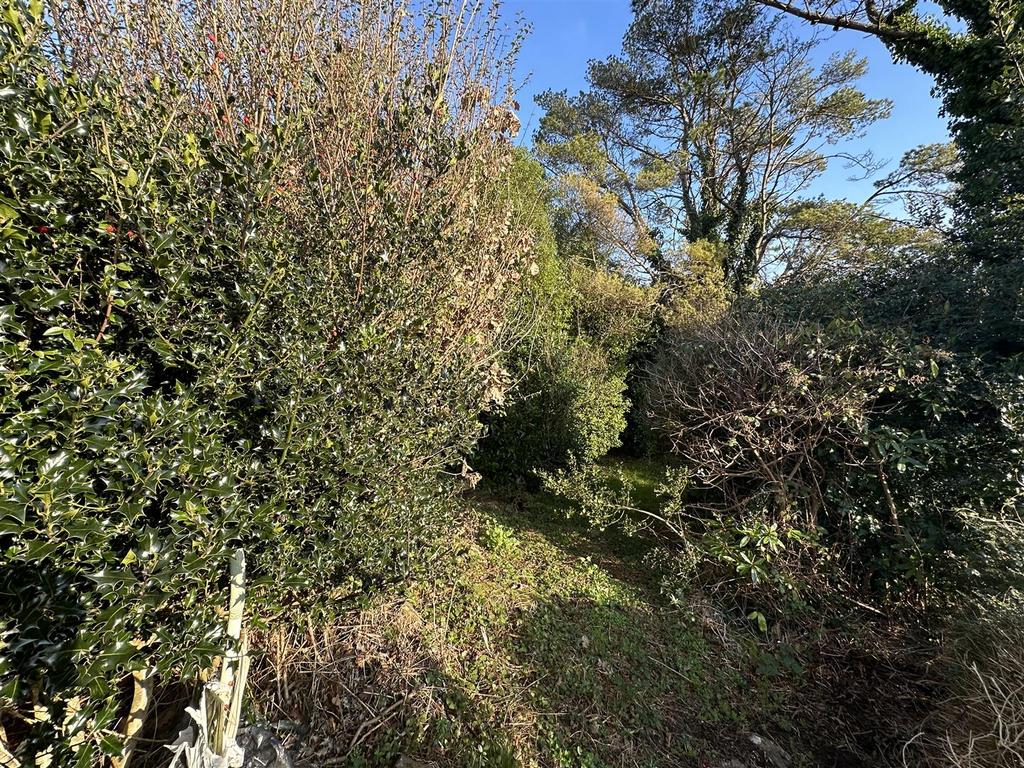 Img 3355.jpg
