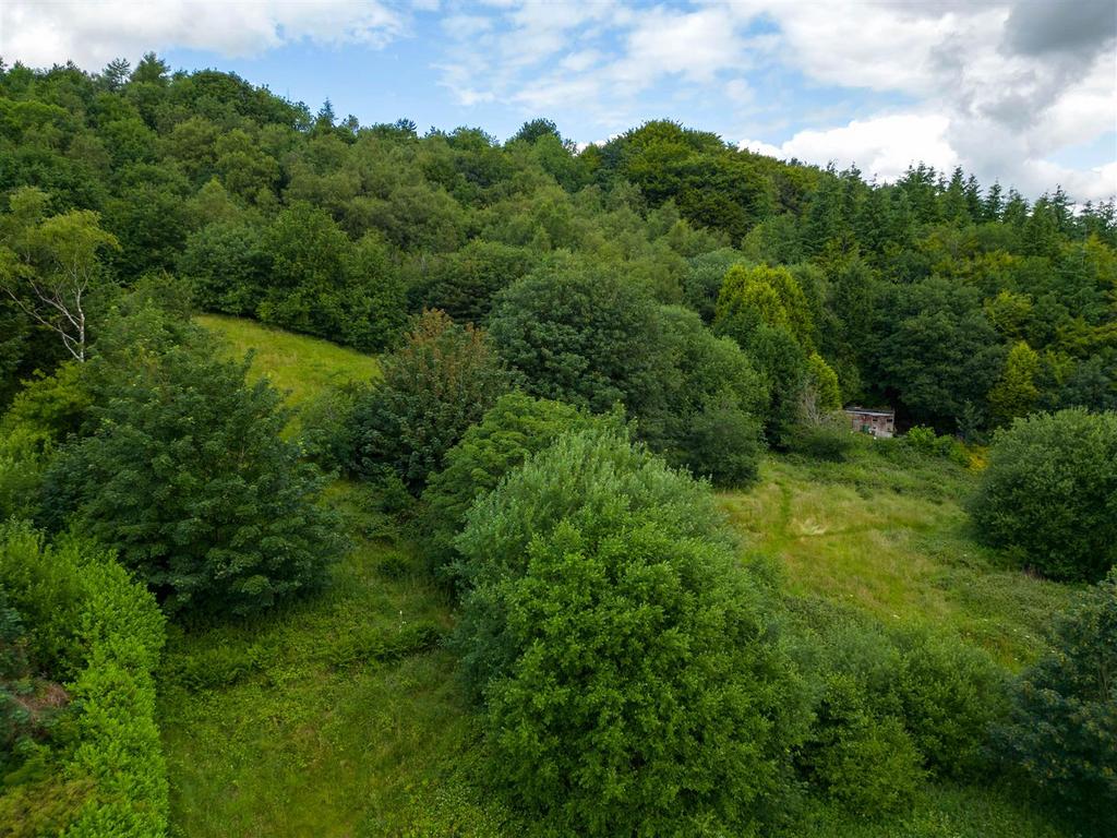 DJI 0012.jpg