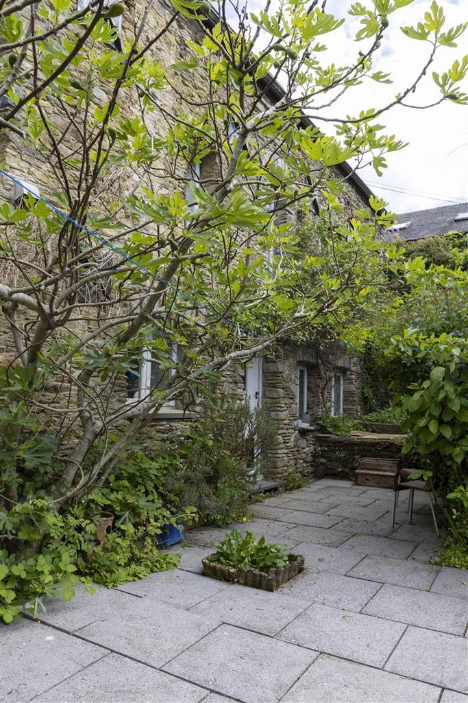 Back garden