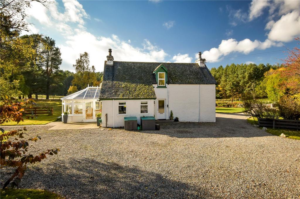 Rear Elevation