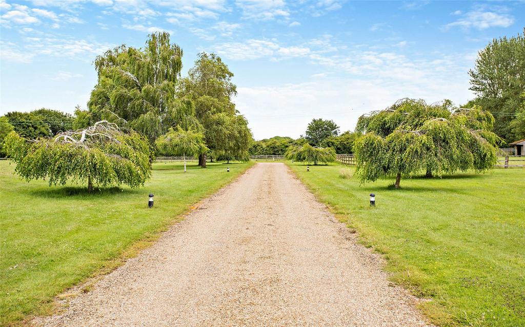 Driveway