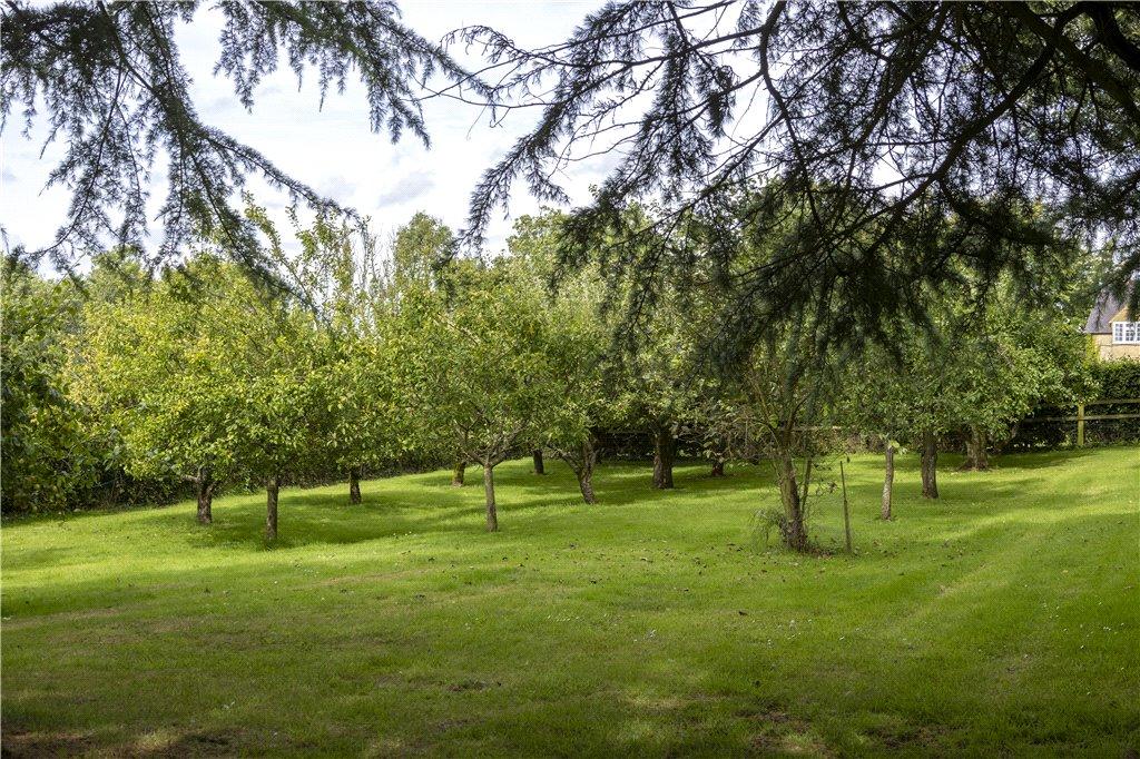 Orchard.