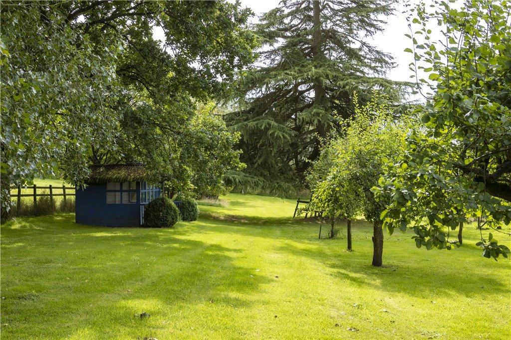 Orchard