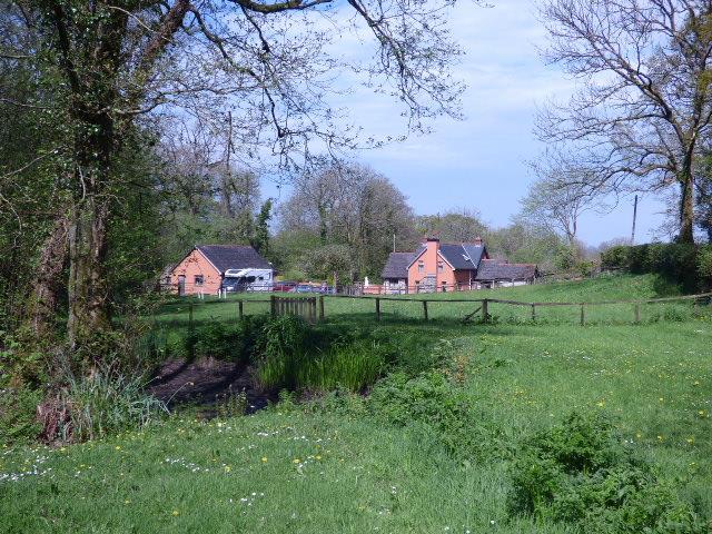 The grounds