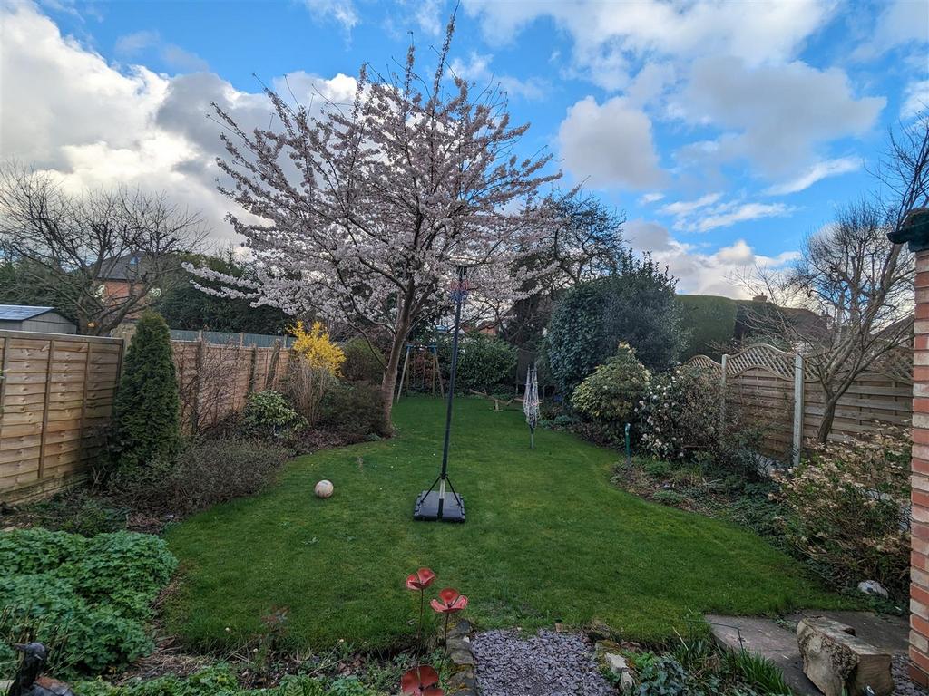 Garden .jpg