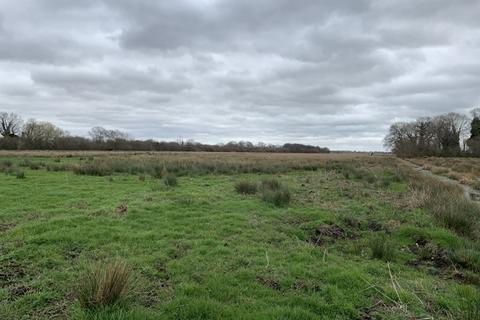 Farm land for sale, 9.83 Ha (24.29 Ac) Grazing Marshes, Lower Road, Rockland St. Mary, Norwich, Norfolk, NR14