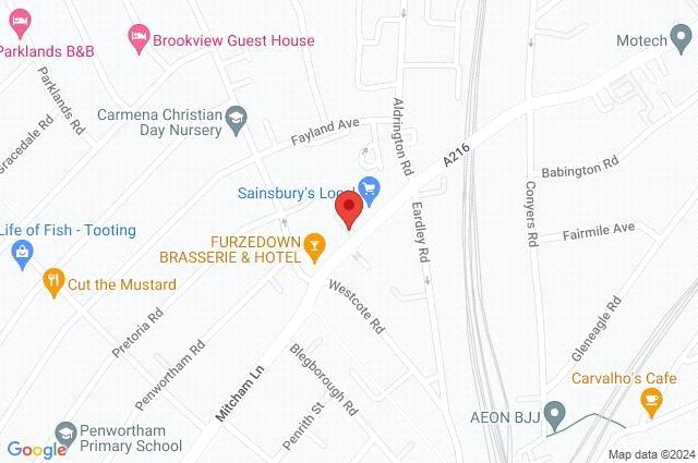 Google Maps Image