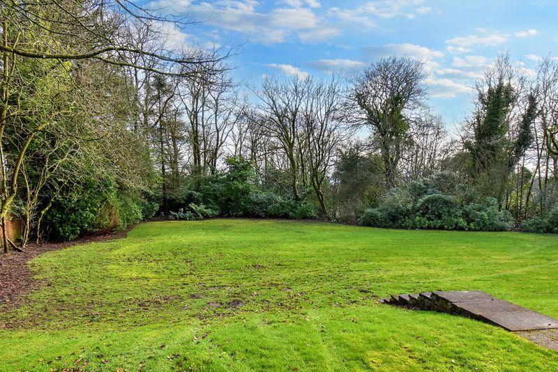 Rear Garden 2
