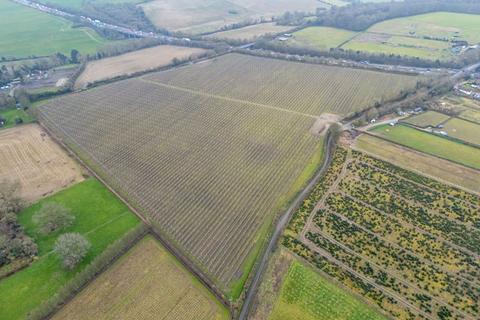 Land for sale, Orchards at Place Farm, Hartlip