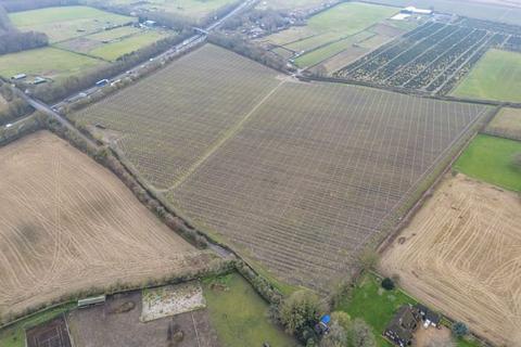 Land for sale, Orchards at Place Farm, Hartlip